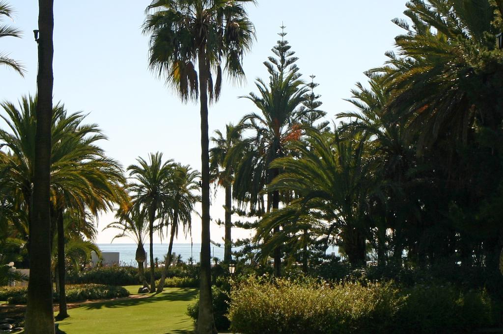 Marbella Apartamentos Sl Buitenkant foto